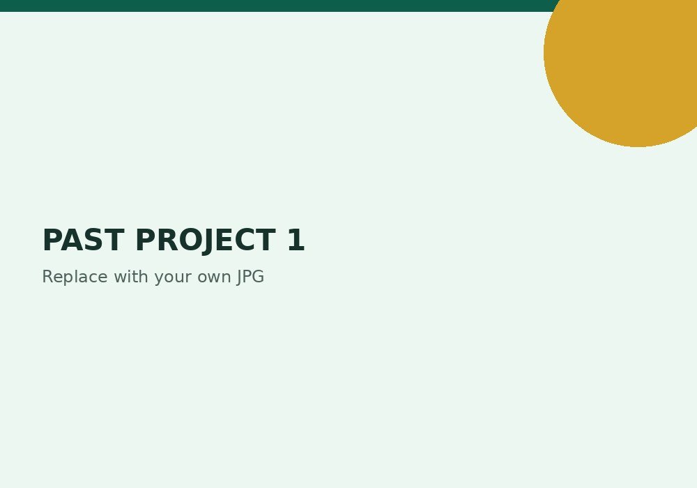 Past project 1