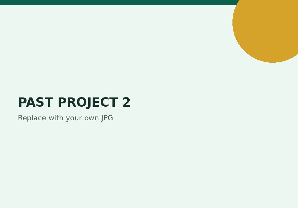 Past project 2
